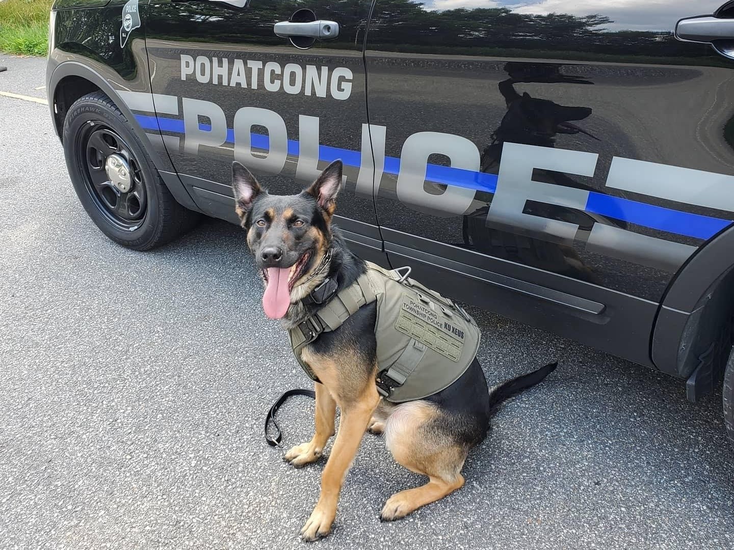 Police K-9 Training Area to Locate at Public Safety Department